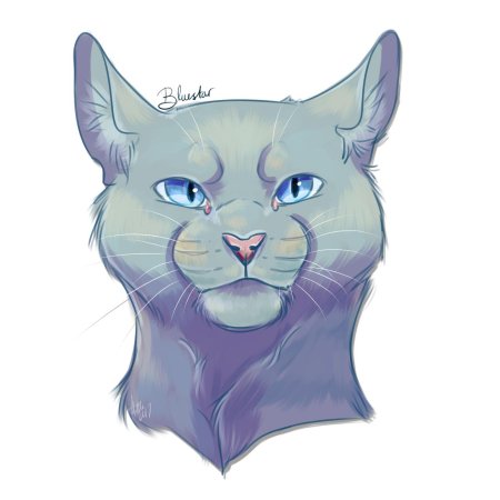 Синяя звезда коты воители