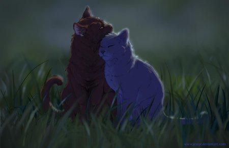 Коты воители синяя звезда и желудь