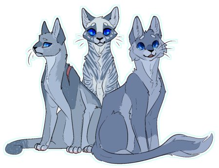 Невидимая звезда коты воители