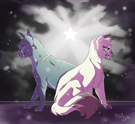 Коты воители синяя звезда и белогривка