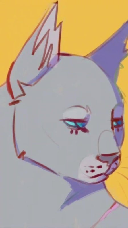 Коты воители reruririreruro