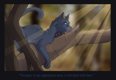 Коты воители синяя звезда