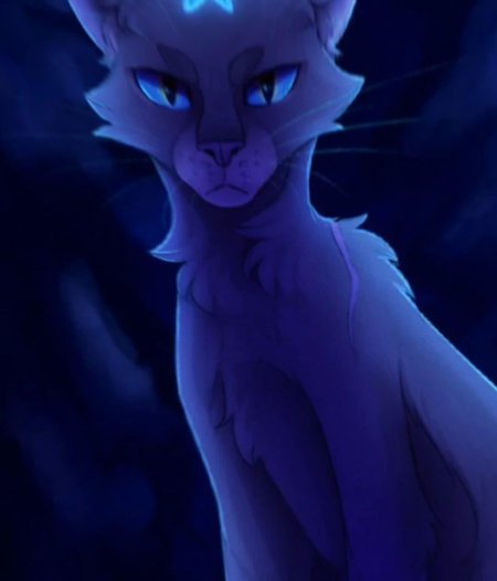 Синяя звезда коты воители