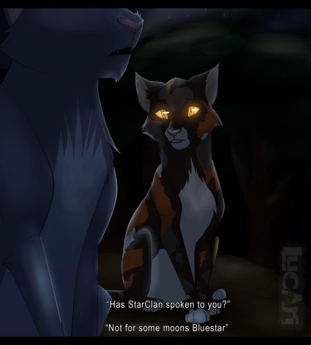 Коты воители синяя звезда и пестролистая