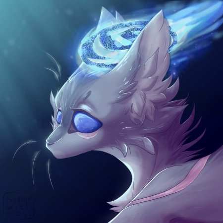 Коты воители синяя звезда