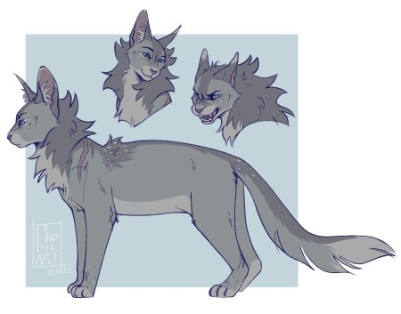 Невидимая звезда коты воители