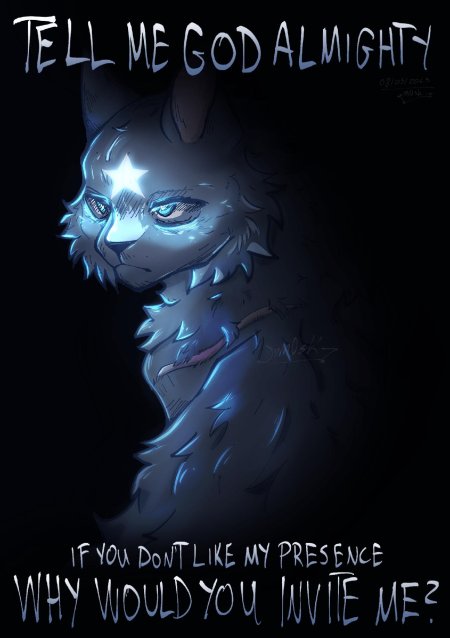 Синяя звезда коты воители