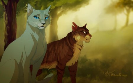 Коты воители листвичка и коршун любовь