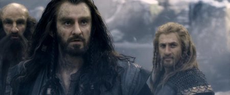 Торин дубощит