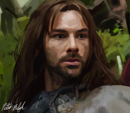 Эйдан тёрнер хоббит кили