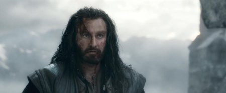 Торин дубощит битва пяти воинств