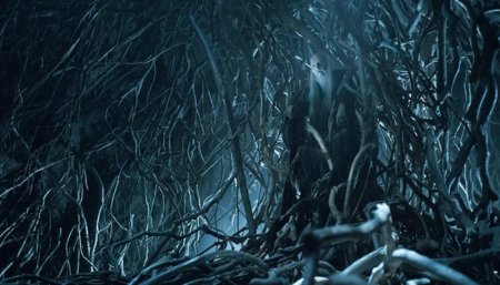 Бринден риверс игра престолов