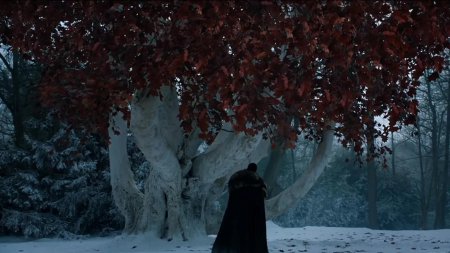 Чардрево игра престолов