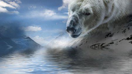 Белая медведь