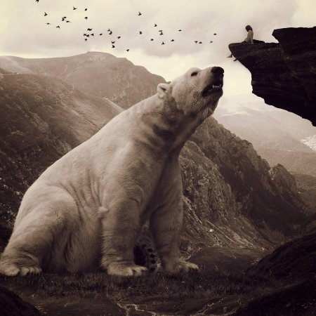 Белая медведь