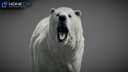 Медведь 3d модель