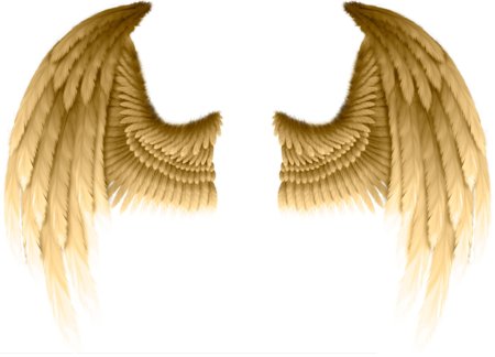 Крылья ангела на прозрачном фоне