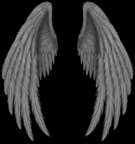 Крыло ангела