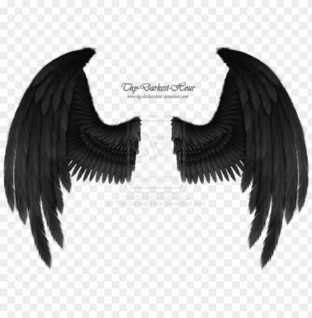 Чёрное крыло