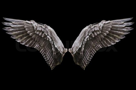 Крыло ангела