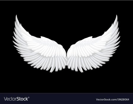 Белые крылья ангела на черном фоне