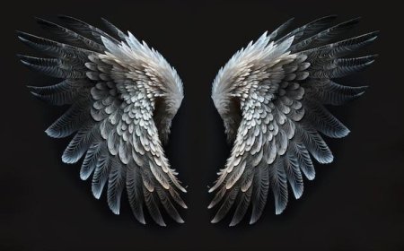 Крыло ангела