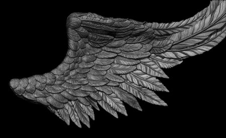 Wing 3d model