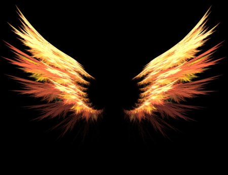 Огненное крыло