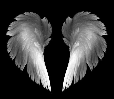 Крыло ангела
