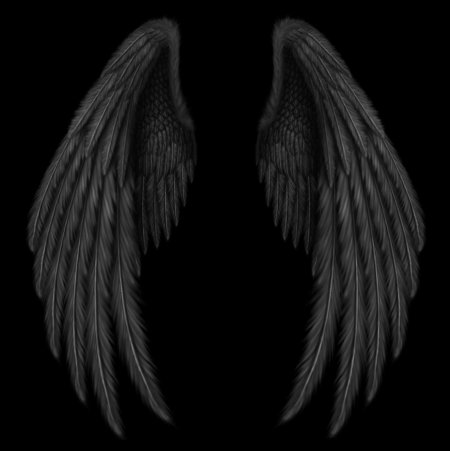 Чёрное крыло