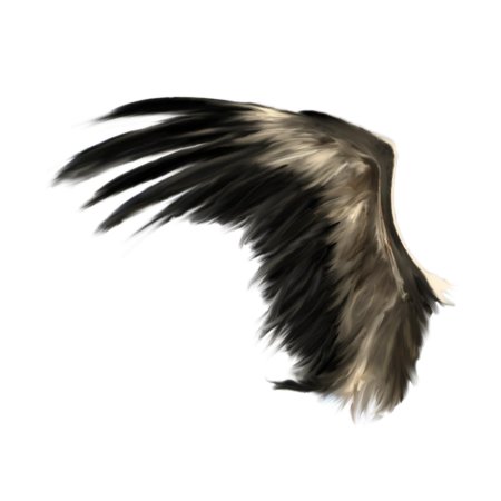 Чёрное крыло