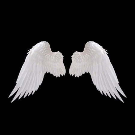 Крылья белые