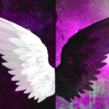 Крыло ангела