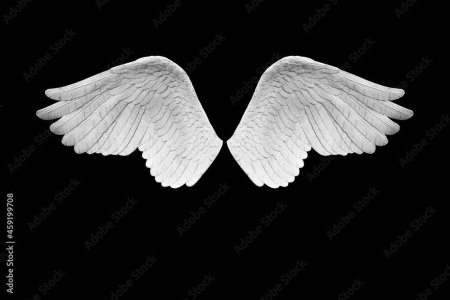 Крыло ангела