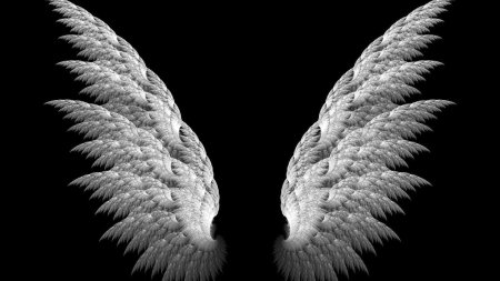 Крыло ангела