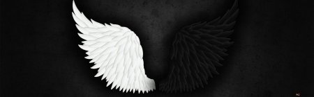 Красивые крылья