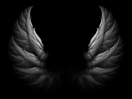Крылья на черном фоне