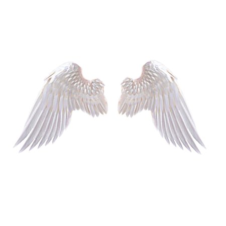 Крыло ангела