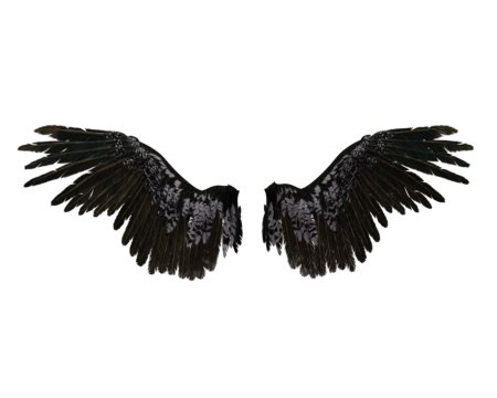 Чёрное крыло