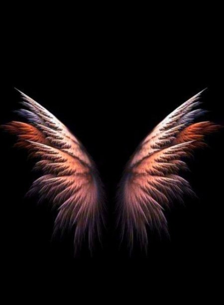 Красивые крылья