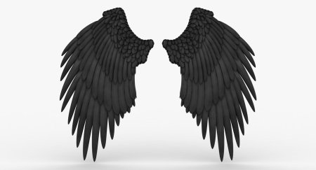 Чёрное крыло