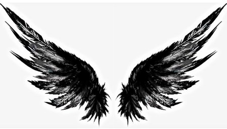 Чёрное крыло