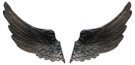 Крыло ангела