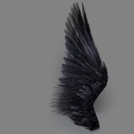 Чёрное крыло