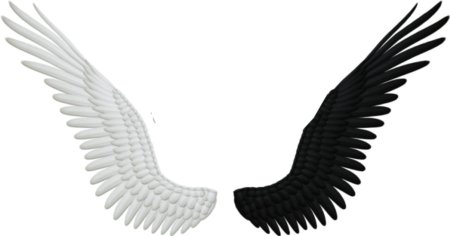Крылья на белом фоне