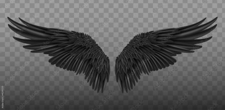 Крыло чёрное