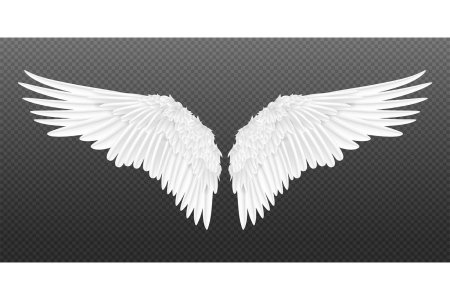 Крылья ангела на прозрачном фоне