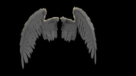 Крыло ангела