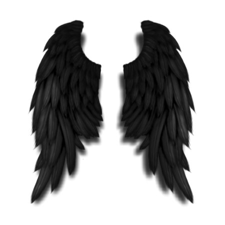 Чёрное крыло