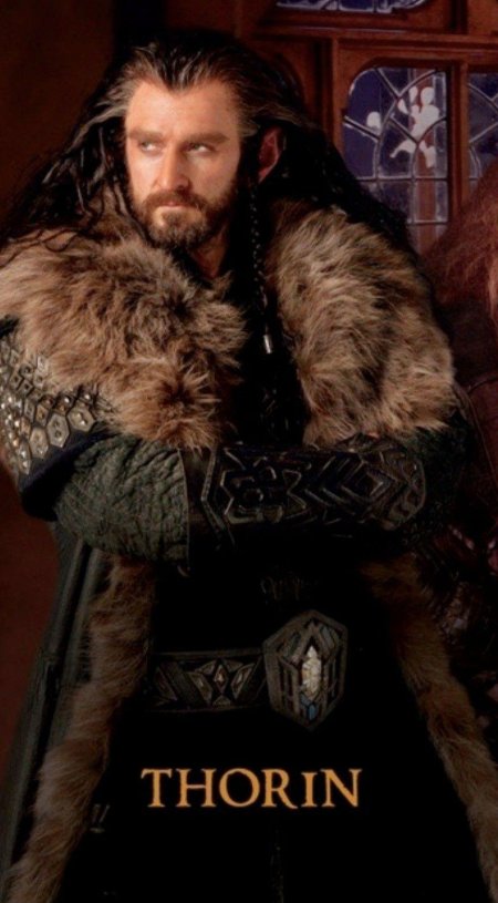 Торин дубощит хоббит